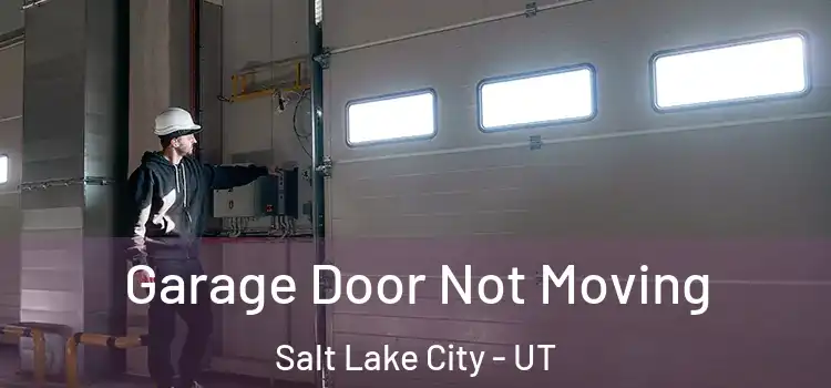  Garage Door Not Moving Salt Lake City - UT