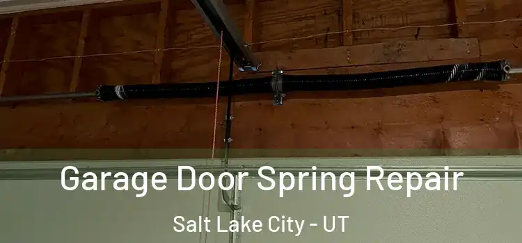 Garage Door Spring Repair Salt Lake City - UT